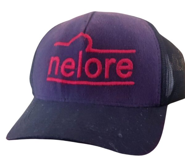 Boné agrocowntry: Nelore-Azul-escuro-Bordado-vermelho-com-telinha11