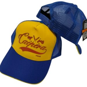 Boné Agrocowntry: Caipira-Prime-azul-pscina-amarelo.