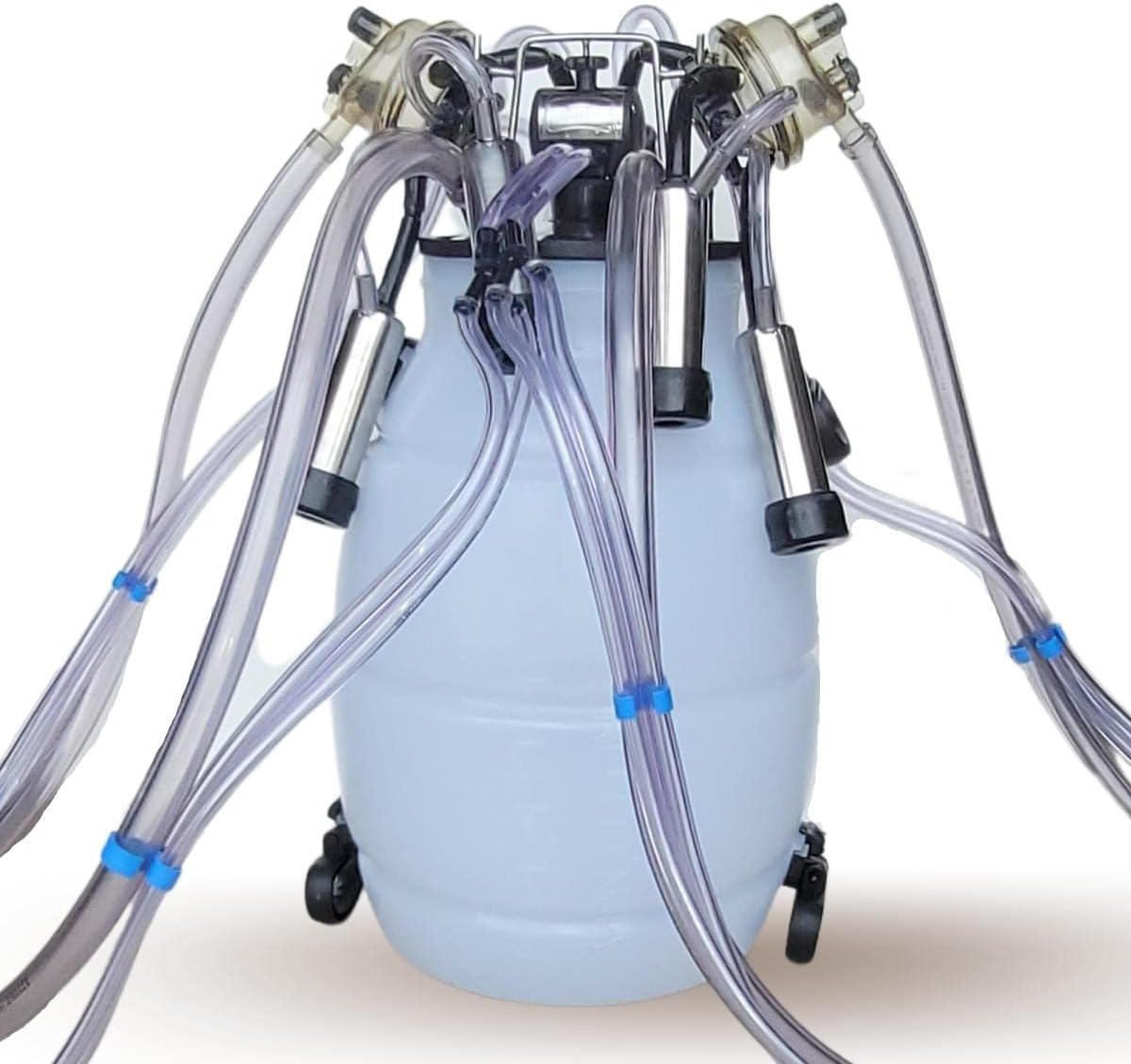 Conjunto Duplo De Ordenha Com Tarro, Conjunto Completo tira leite de duas vacas ao mesmo tempo (GIMENEZ)